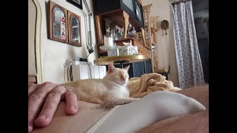 Lo82 online show from October 3, 2025, 11:51 am