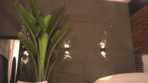 Snapshot of logan_varela chatting on February 27, 2025, 6:07 am logan_varela online show from February 27, 2025, 6:07 am