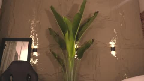 Snapshot of logan_varela chatting on March 1, 2025, 9:18 am logan_varela online show from March 1, 2025, 9:18 am