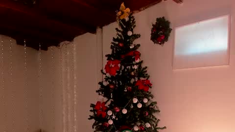 mara online show from December 6, 2024, 7:56 pm