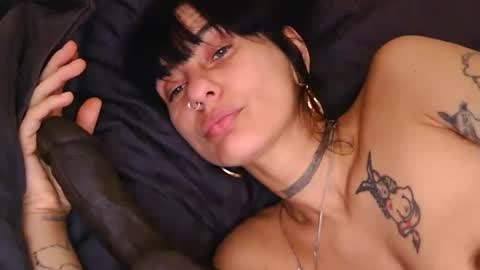Snapshot of lola_midnight chatting on April 11, 2026, 7:45 am Lola Midnight online show from April 11, 2026, 7:45 am