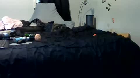 Snapshot of lonelydick2222 chatting on May 25, 2026, 1:28 pm lonelydick2222 online show from May 25, 2026, 1:28 pm
