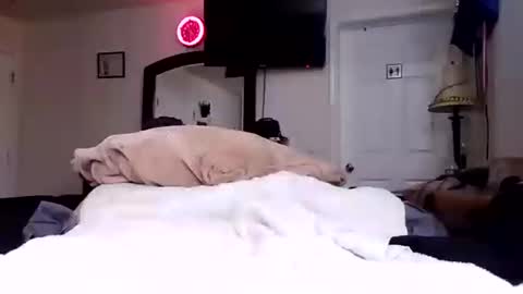 Snapshot of lookatmecum4you chatting on October 17, 2025, 8:28 am lookatmecum4you online show from October 17, 2025, 8:28 am