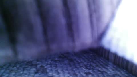 lookingforcougars500 online show from September 14, 2025, 4:00 am