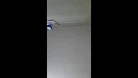 Snapshot of lopezpedro2791 chatting on December 17, 2025, 5:35 am 2791 3D online show from December 17, 2025, 5:35 am