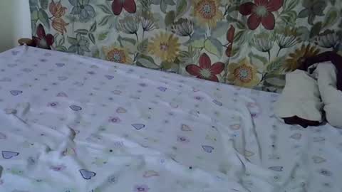 lora_amor online show from April 30, 2026, 9:26 am