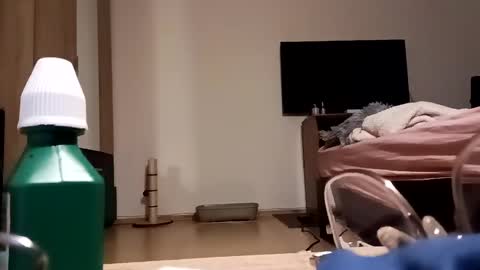 Snapshot of loraflame chatting on December 4, 2024, 12:25 pm Lora online show from December 4, 2024, 12:25 pm