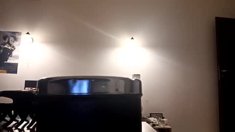 Snapshot of loraflame chatting on December 29, 2024, 10:23 am Lora online show from December 29, 2024, 10:23 am