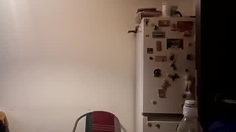 Snapshot of loraflame chatting on December 31, 2024, 12:36 pm Lora online show from December 31, 2024, 12:36 pm