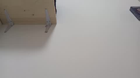 Snapshot of loraflame chatting on January 10, 2025, 1:41 pm Lora online show from January 10, 2025, 1:41 pm