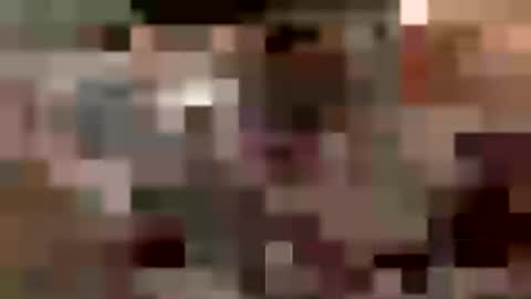 LostinDremes online show from July 6, 2026, 10:56 am