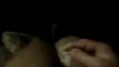 LostinDremes online show from July 16, 2026, 10:10 am