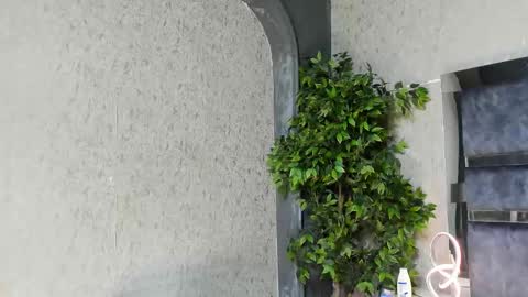 Snapshot of louis_connor chatting on November 25, 2025, 6:02 am Louis online show from November 25, 2025, 6:02 am