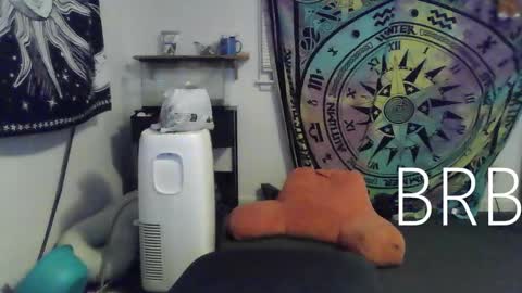 Snapshot of lovefun11334 chatting on January 18, 2025, 12:46 am Bigtitsgirl113 online show from January 18, 2025, 12:46 am