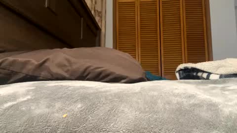 Amber online show from February 12, 2025, 1:27 pm