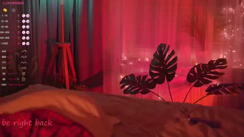 Nelly online show from February 21, 2025, 5:20 pm