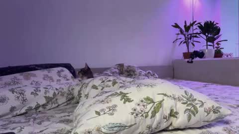 Snapshot of lovelorn_ chatting on November 14, 2025, 6:34 am Elsa online show from November 14, 2025, 6:34 am