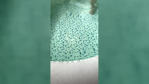lovelyladyflaccid online show from May 31, 2026, 6:09 pm