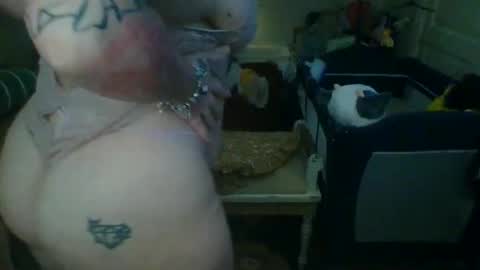 Snapshot of lovetubes101 chatting on October 3, 2025, 1:13 am lovetubes101 online show from October 3, 2025, 1:13 am