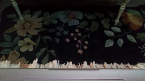 Snapshot of lovetubes101 chatting on October 29, 2025, 12:46 am lovetubes101 online show from October 29, 2025, 12:46 am