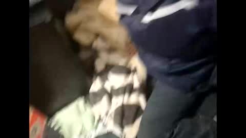 Snapshot of lshot_d chatting on November 28, 2025, 8:00 pm Lshot D online show from November 28, 2025, 8:00 pm