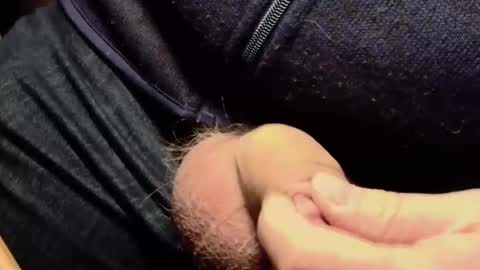 Lt645 online show from December 7, 2024, 8:11 am