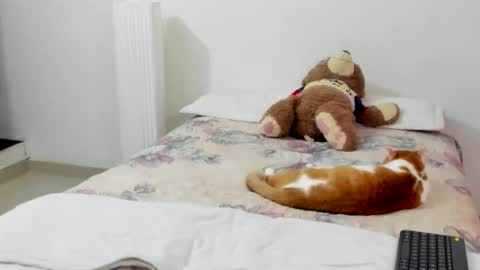 luara__01__lecat_1 online show from February 8, 2026, 11:19 pm