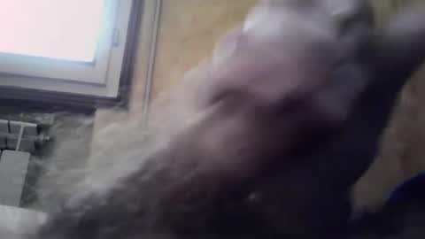 lucafava90 online show from January 4, 2025, 9:32 am