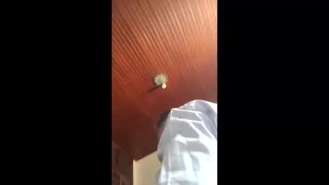 Snapshot of lucasgody chatting on January 16, 2026, 4:55 pm lucas online show from January 16, 2026, 4:55 pm