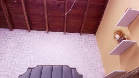 Lucero W online show from March 4, 2025, 1:23 am