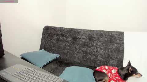 Snapshot of lucii_30 chatting on December 4, 2025, 7:11 pm luci online show from December 4, 2025, 7:11 pm