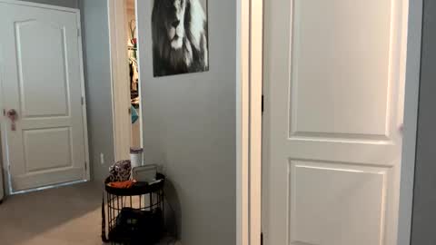 lucious_stace online show from September 22, 2025, 3:47 pm