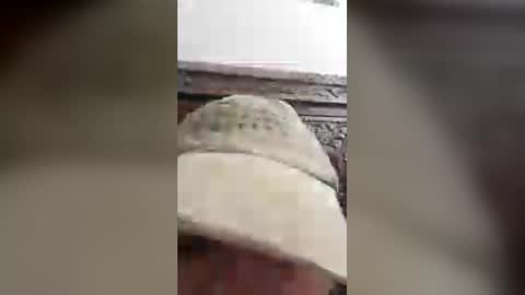 luckyfalcon2022 online show from June 30, 2026, 5:08 am