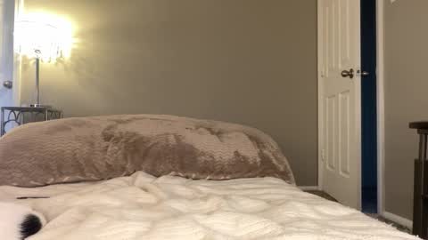 Snapshot of lucy12821 chatting on November 25, 2025, 9:59 pm Lucy online show from November 25, 2025, 9:59 pm