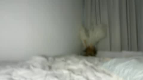 Snapshot of lucyforr chatting on August 1, 2026, 4:23 am lucyforr online show from August 1, 2026, 4:23 am