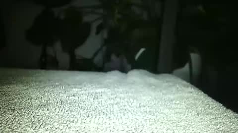 Luke online show from April 17, 2026, 1:19 am