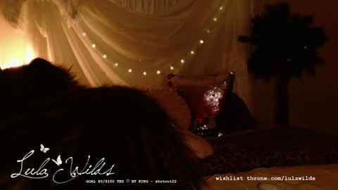 Snapshot of lulawilds chatting on July 11, 2026, 2:58 am lula wilds online show from July 11, 2026, 2:58 am