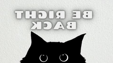 elizabeth online show from April 24, 2026, 12:35 am