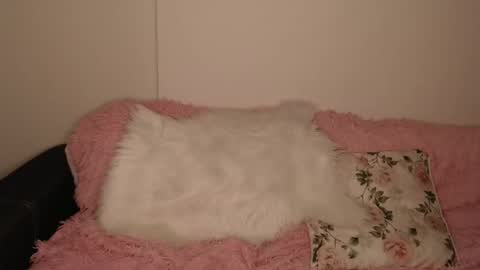 Luna online show from February 13, 2026, 6:15 pm