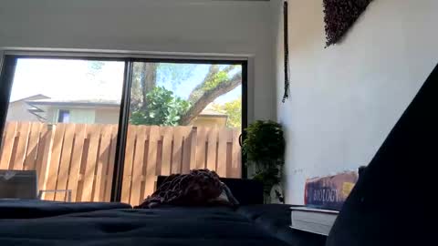 Snapshot of lunaloopzz chatting on March 11, 2026, 5:52 pm lunaloopzz online show from March 11, 2026, 5:52 pm