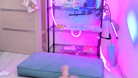 Snapshot of lunatale chatting on February 14, 2025, 2:18 am Kate online show from February 14, 2025, 2:18 am