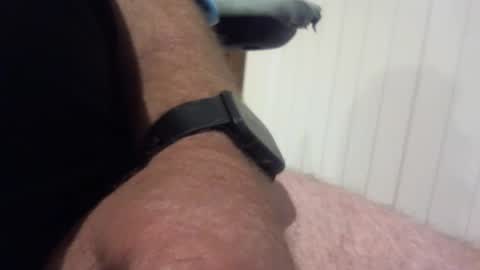 Snapshot of lustybloke44 chatting on March 3, 2025, 5:31 am lustybloke44 online show from March 3, 2025, 5:31 am