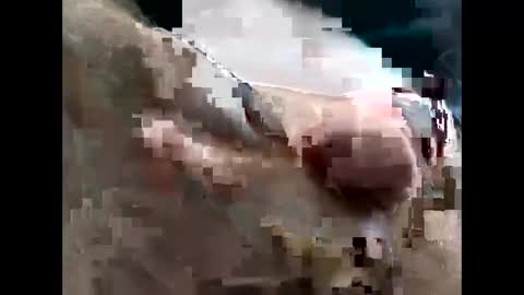 Snapshot of lutorres chatting on November 22, 2025, 3:33 pm lutorres online show from November 22, 2025, 3:33 pm