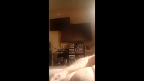 Snapshot of luv2cum4u612 chatting on January 10, 2026, 8:49 am luv2cum4u612 online show from January 10, 2026, 8:49 am