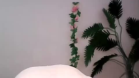 Bee Bee online show from September 9, 2025, 1:38 am