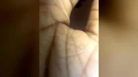 luvvlee online show from June 29, 2026, 6:19 am