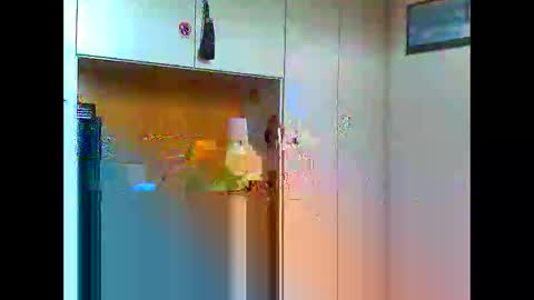 Snapshot of luxx72boy chatting on January 11, 2025, 9:47 am luxx72boy online show from January 11, 2025, 9:47 am