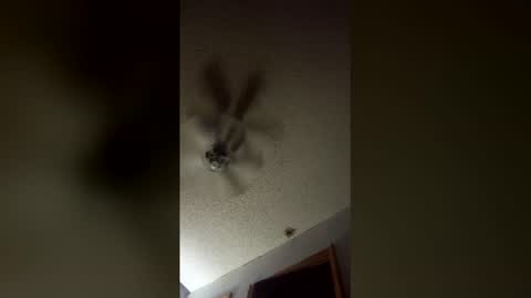 lvckthegoat online show from March 12, 2026, 8:09 am