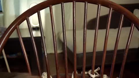 Snapshot of lyle_art chatting on February 27, 2025, 6:18 am hi im Lyle online show from February 27, 2025, 6:18 am