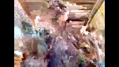 lyn_eva online show from March 7, 2026, 11:07 am